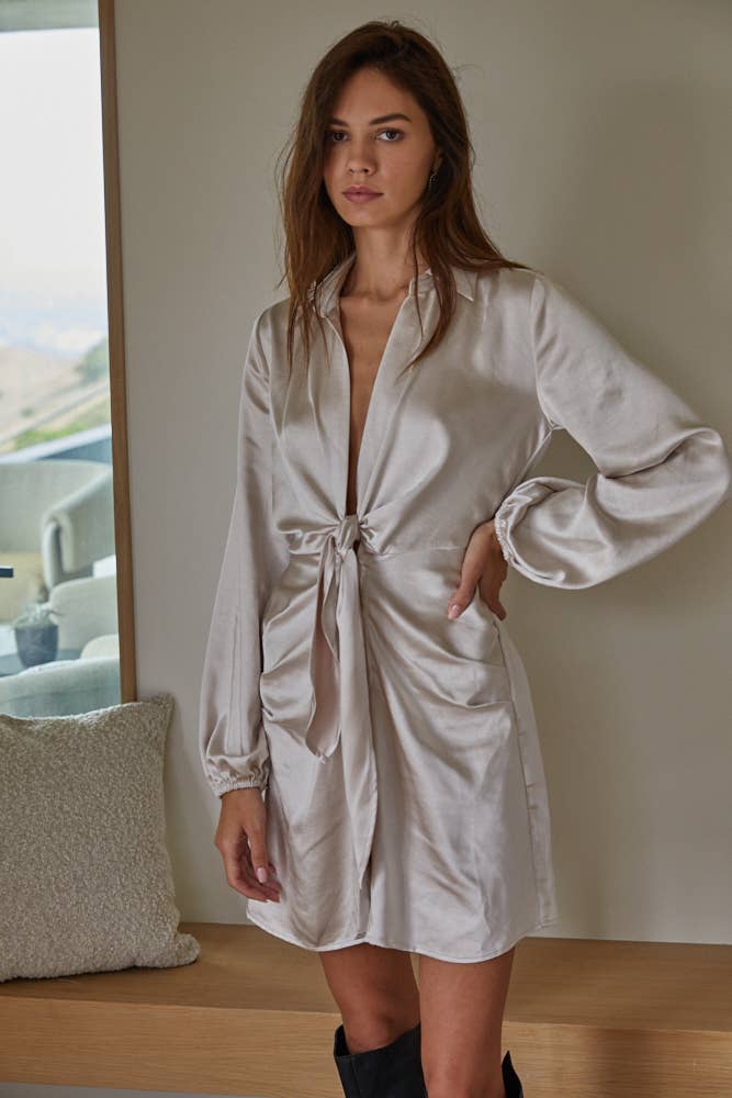 Classic Satin-Collar Long Sleeve Dress