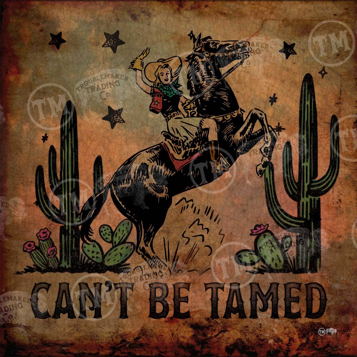 Can't be Tamed Cowgirl Framed Artwork
