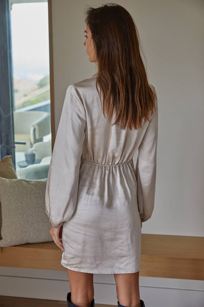 Classic Satin-Collar Long Sleeve Dress