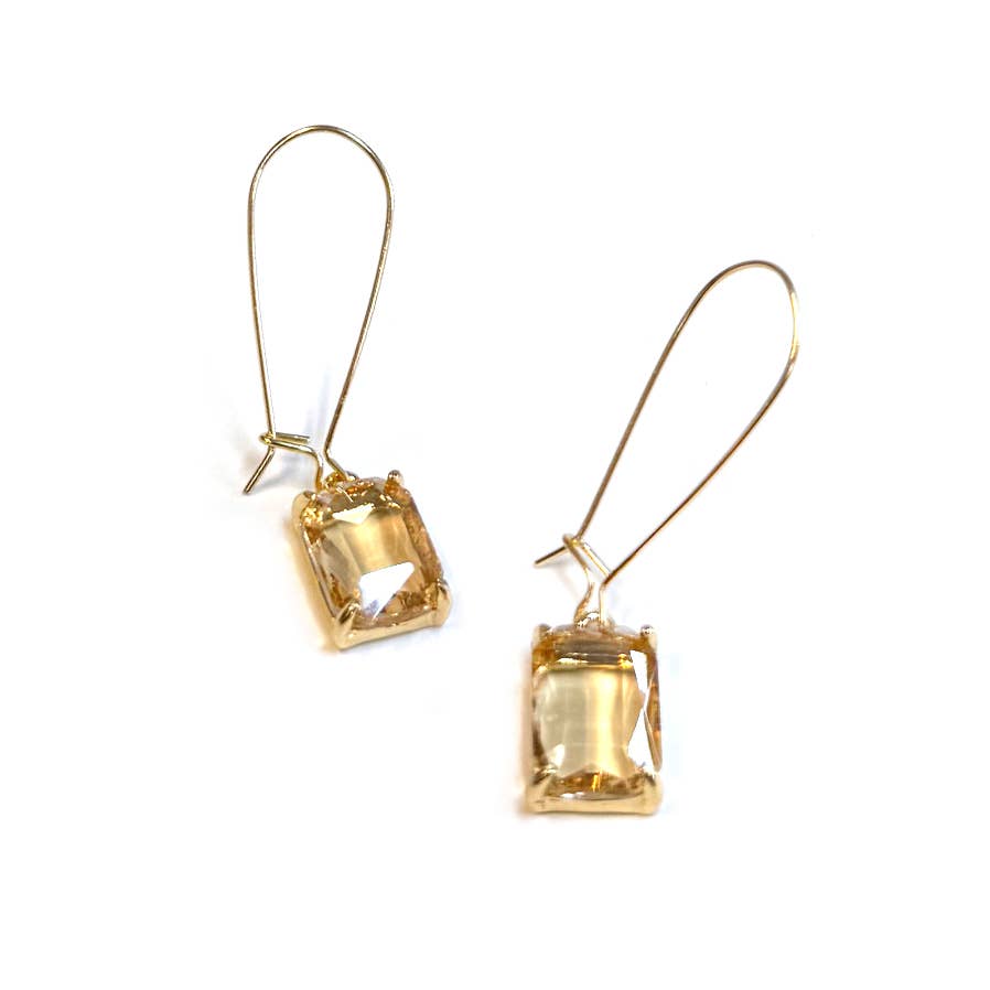 Midi Rectangle Glass Bead with Kidney Wire Dangle Earrings