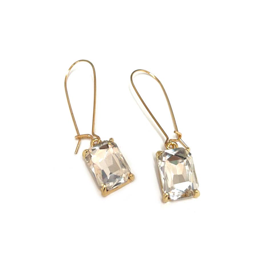 Midi Rectangle Glass Bead with Kidney Wire Dangle Earrings