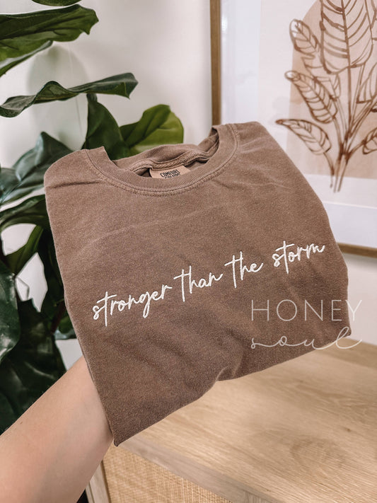 Embroidered Stronger Than The Storm Tee